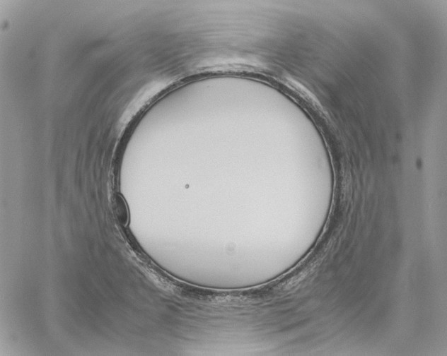 X0000061721277200512302110