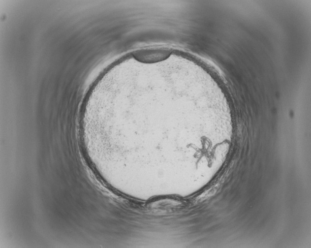 X0000061721279200512302110