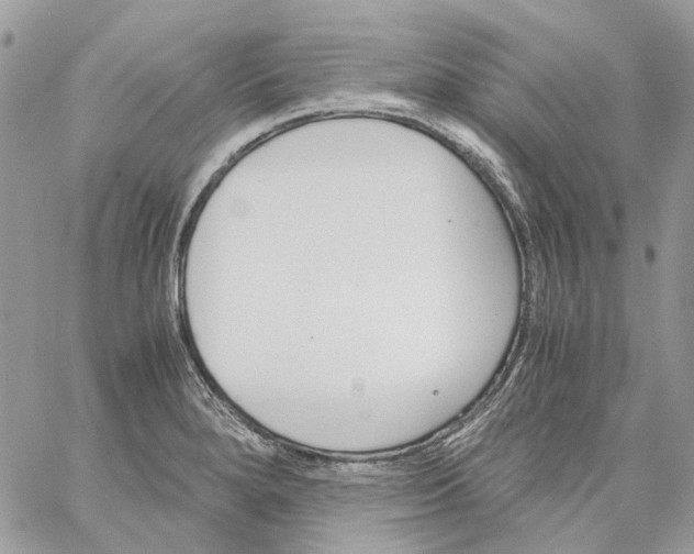 X0000061721280200512302110