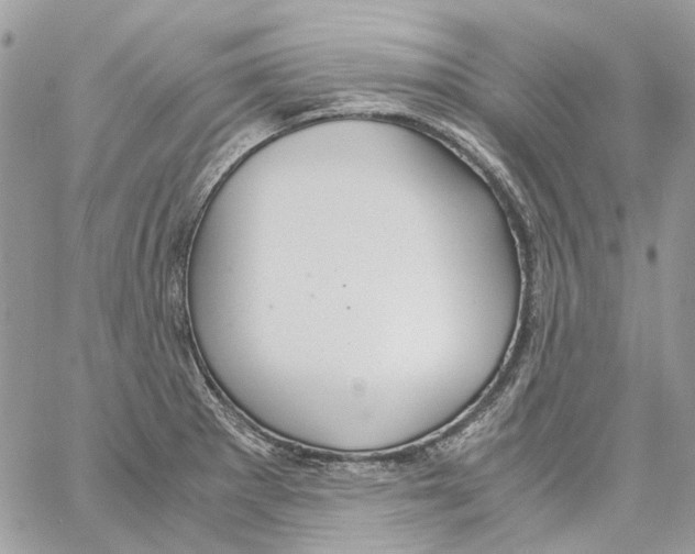 X0000061721281200512302110