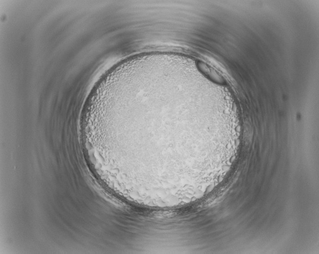 X0000061721283200512302110