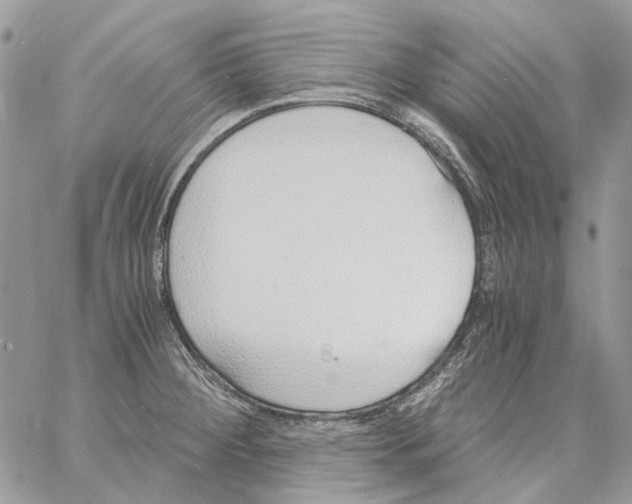 X0000061721284200512302110