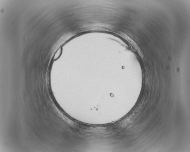 X0000061721285200512302110