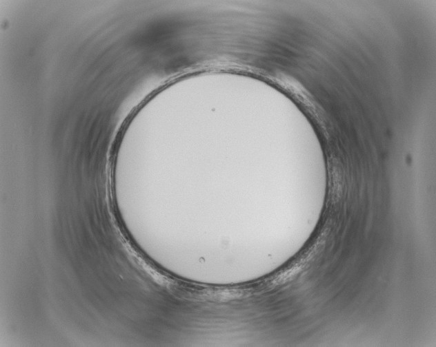 X0000061721286200512302110