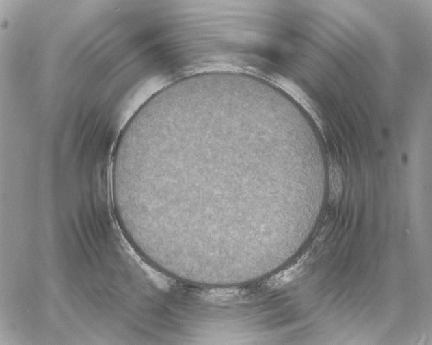 X0000061721290200512302110