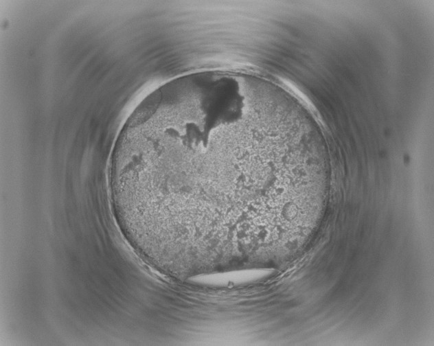 X0000061721291200512302110