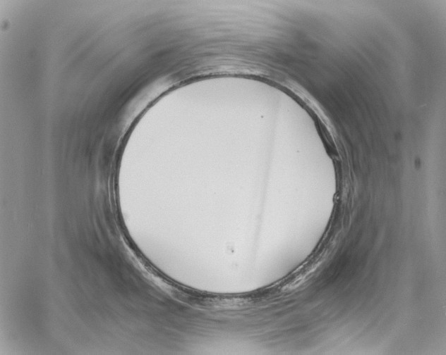 X0000061721293200512302110