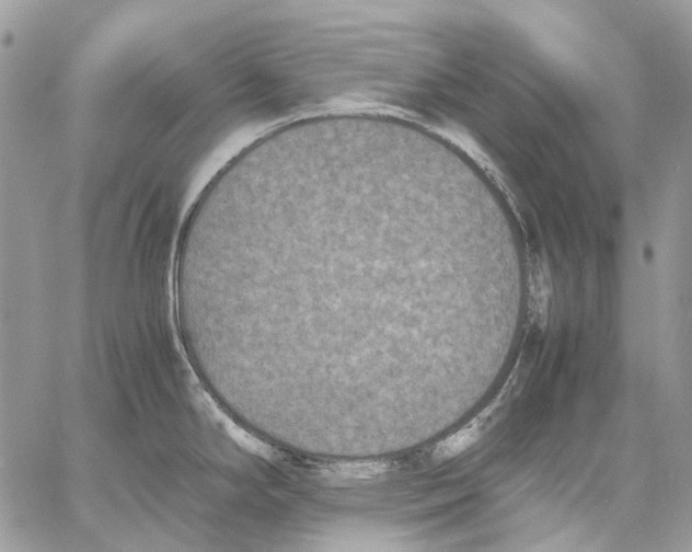 X0000061721294200512302110