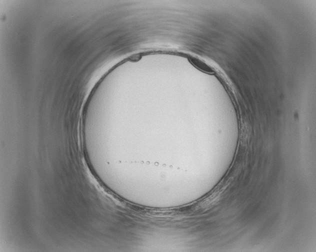 X0000061721295200512302110