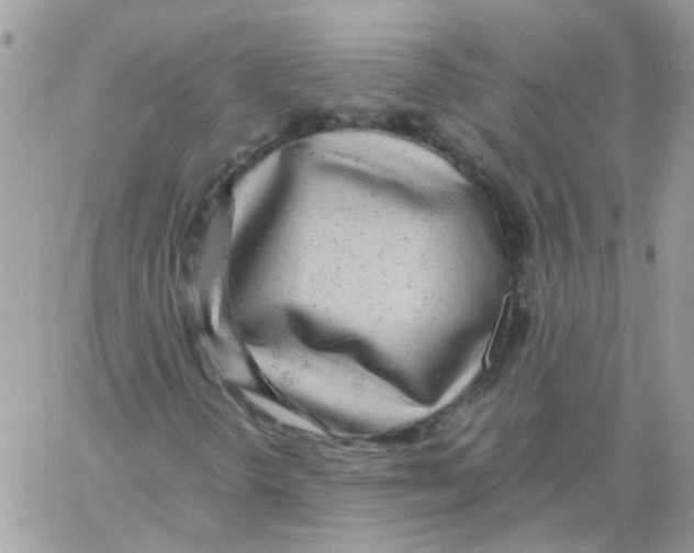 X0000061721298200512302109