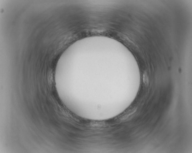 X0000061721299200512302109