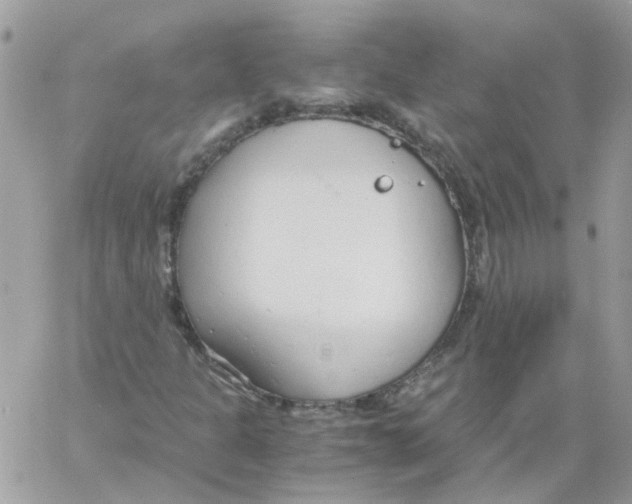 X0000061721301200512302109