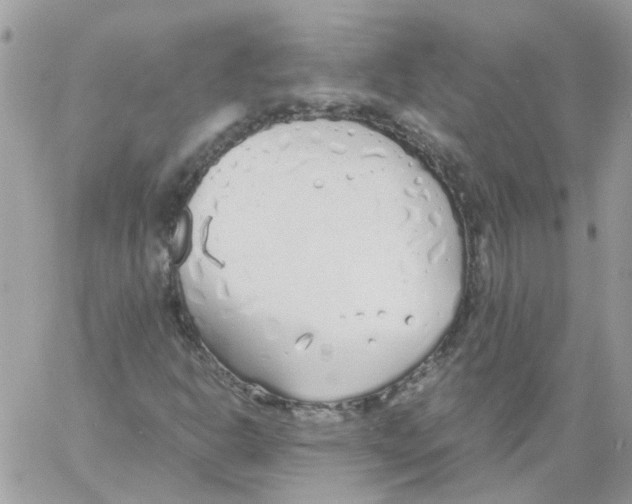 X0000061721302200512302109