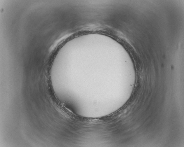 X0000061721304200512302109