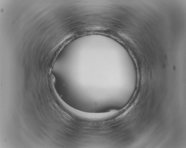 X0000061721305200512302109