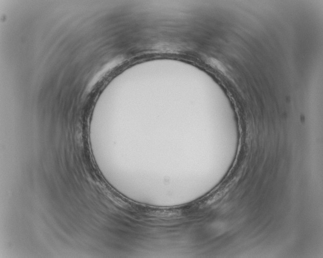 X0000061721307200512302109