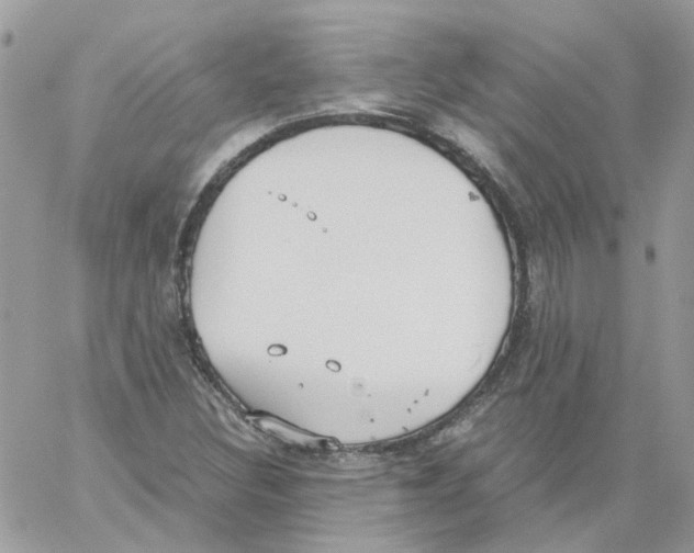 X0000061721308200512302109