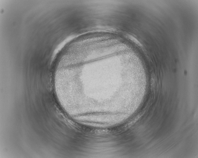 X0000061721310200512302109