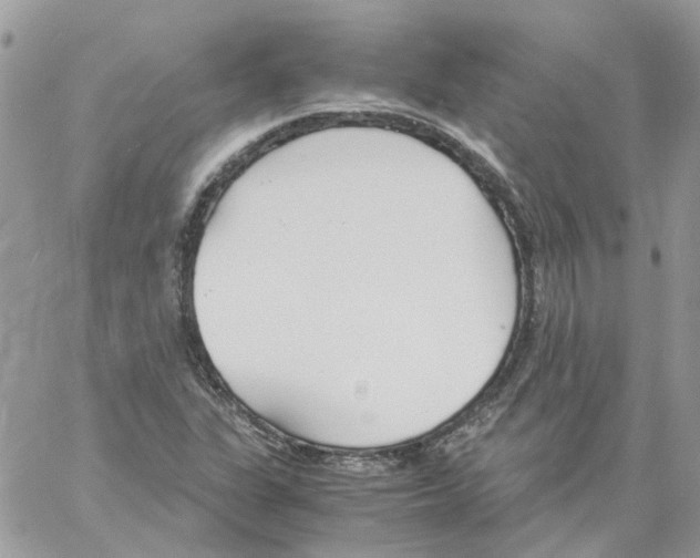 X0000061721311200512302109