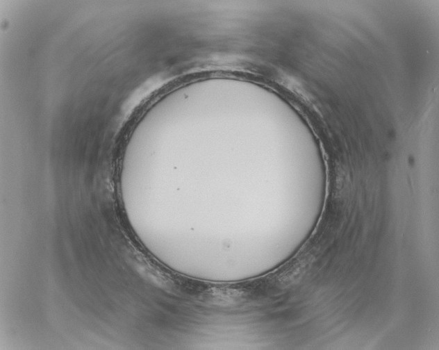 X0000061721312200512302109