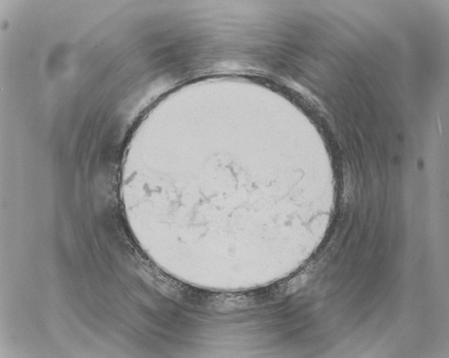 X0000061721314200512302109