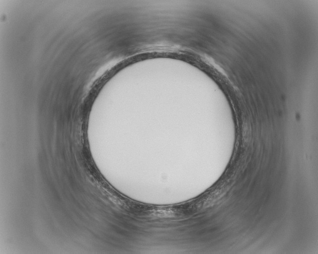 X0000061721315200512302109