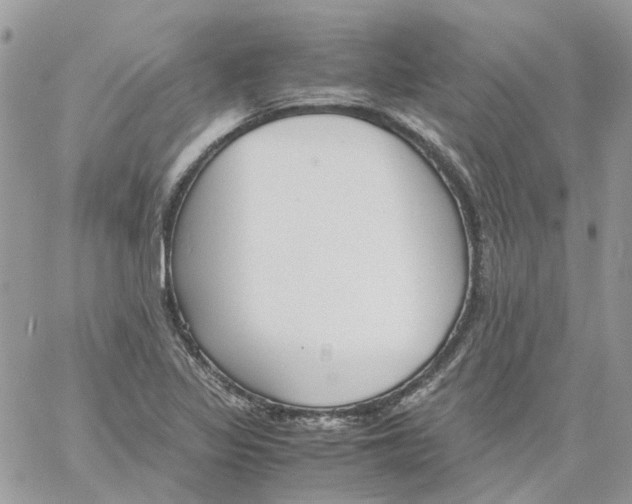 X0000061721317200512302109