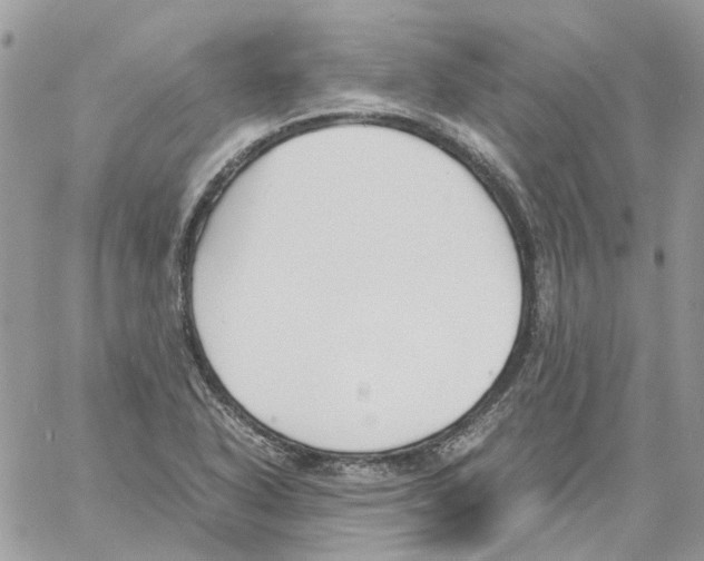 X0000061721318200512302109