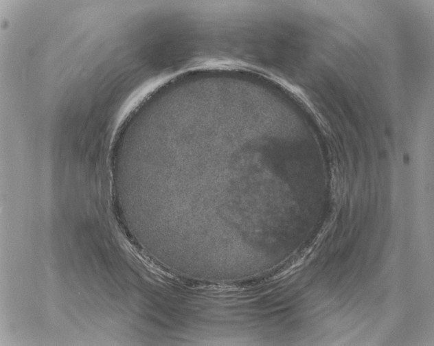 X0000061721319200512302109