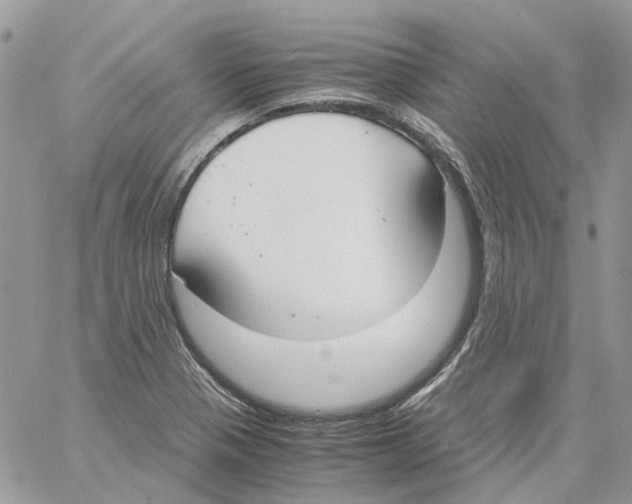 X0000061721321200512302109