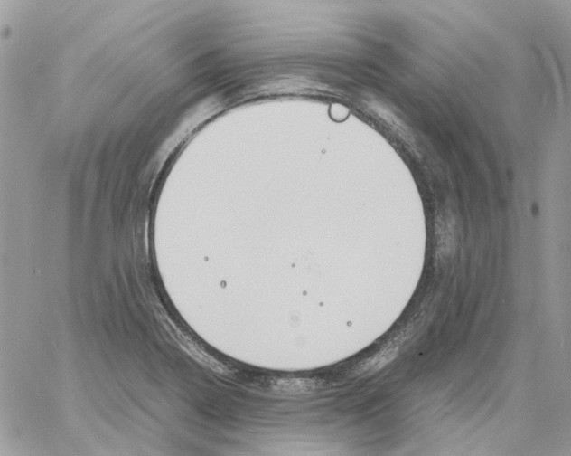 X0000061721322200512302110