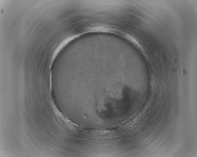 X0000061721323200512302110