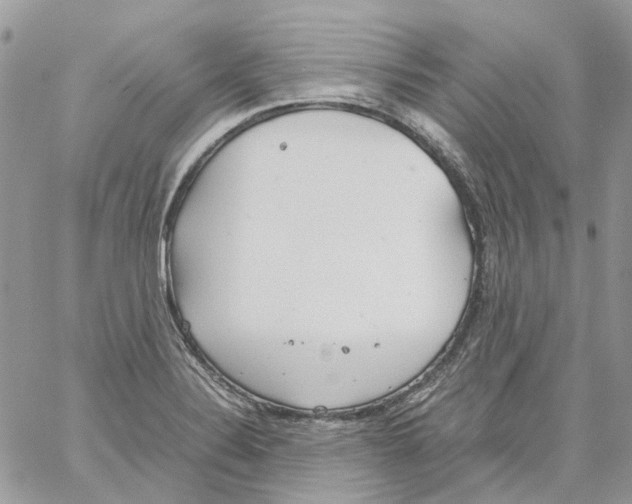 X0000061721324200512302110