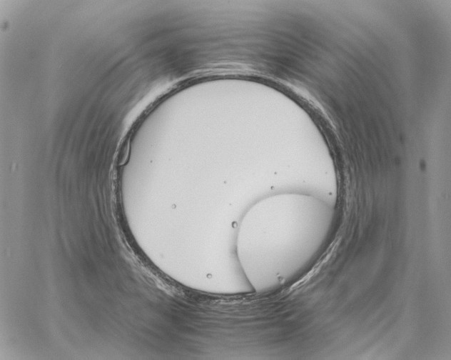 X0000061721325200512302110