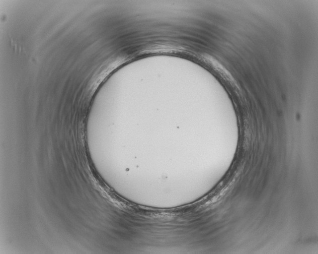 X0000061721329200512302110