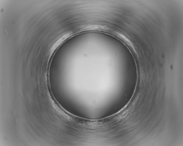 X0000061721330200512302110