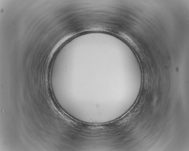 X0000061721331200512302110