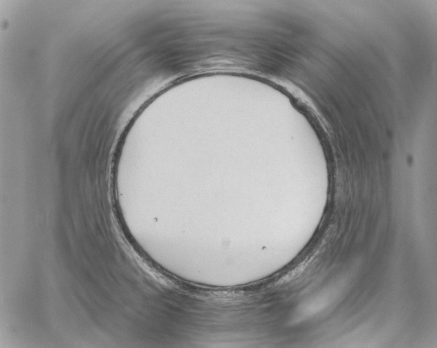 X0000061721333200512302110