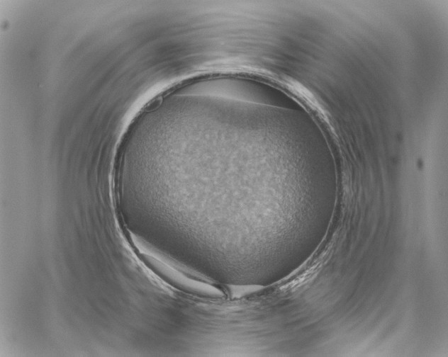 X0000061721334200512302110