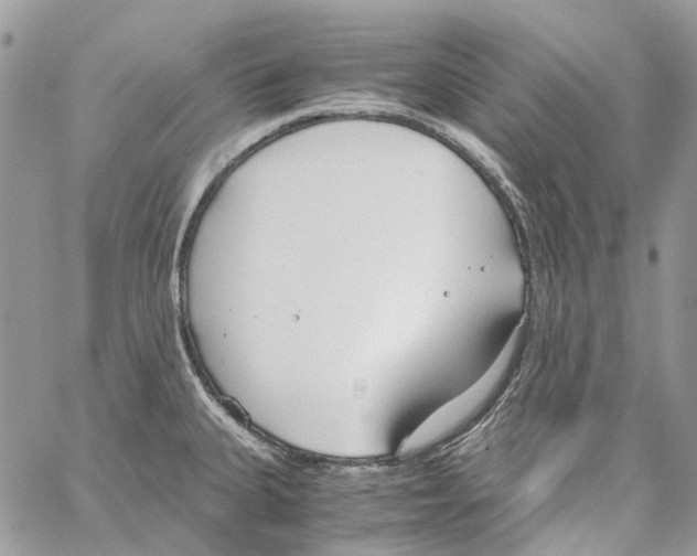 X0000061721335200512302110