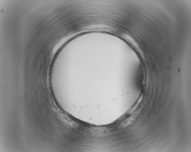 X0000061721336200512302110