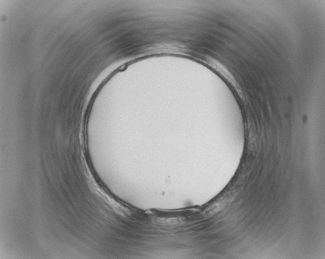 X0000061721339200512302110