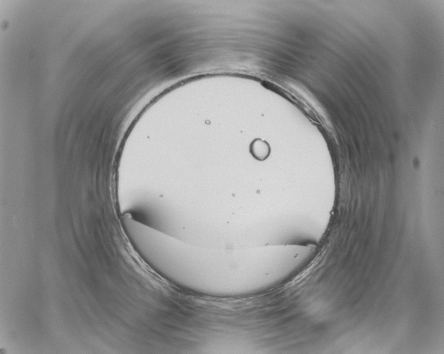 X0000061721340200512302110