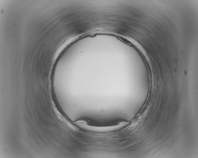 X0000061721341200512302110