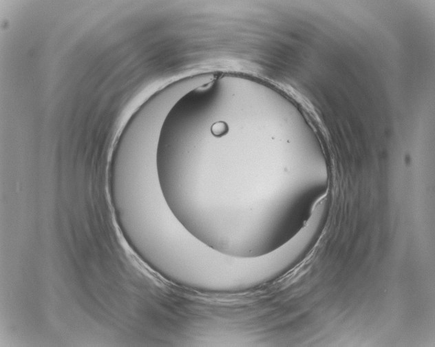 X0000061721342200512302110