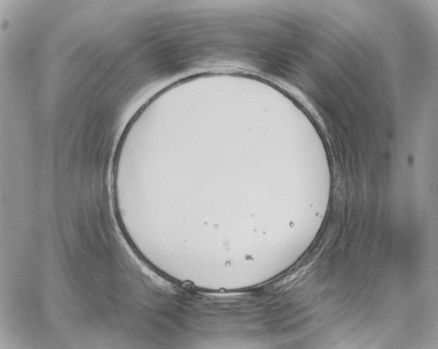 X0000061721343200512302110