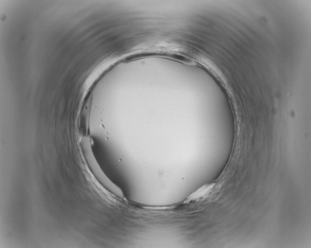 X0000061721344200512302110