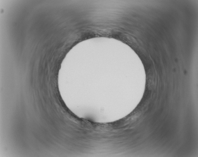 X0000061721345200512302109