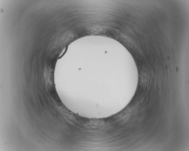 X0000061721346200512302109