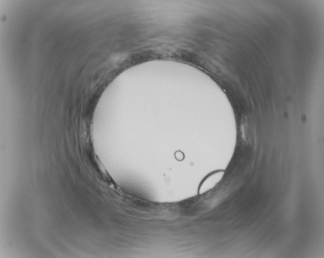 X0000061721347200512302109